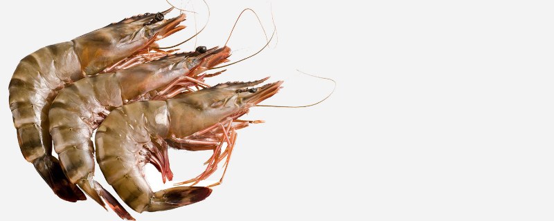 Pacific seafood